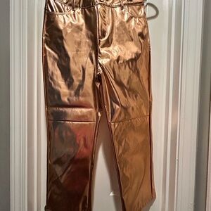 Shiny Metallic Pants